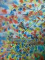 /album/divotvorna-kvetina/p1100592-jpg/